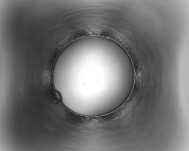 X0000088840772200706211832