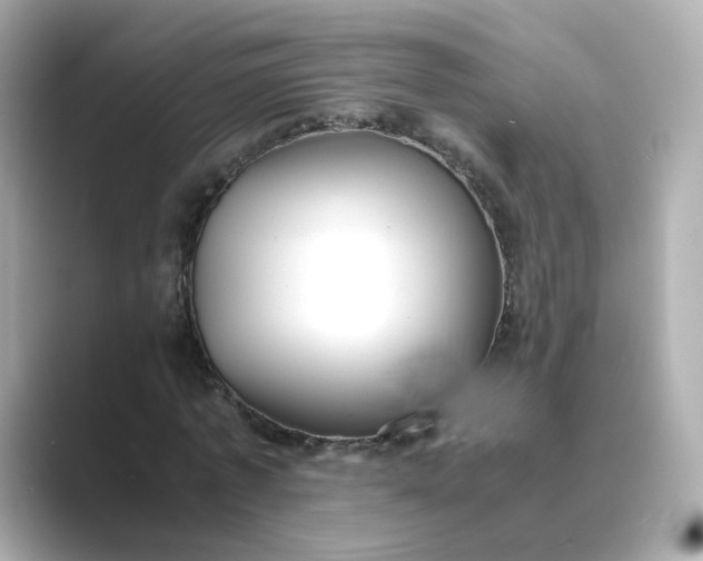 X0000088840773200706211832