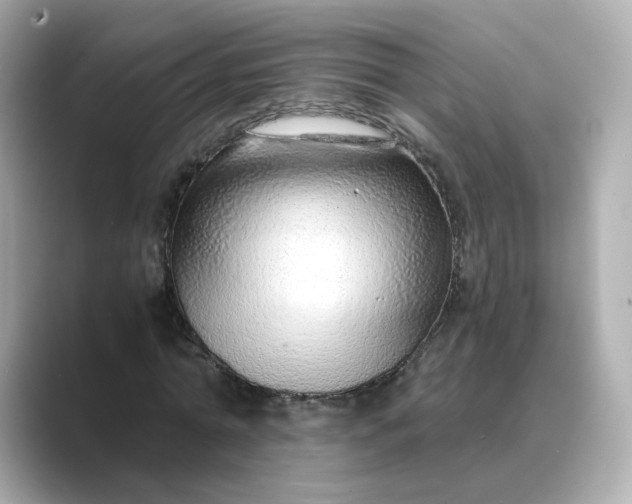 X0000088840774200706211832