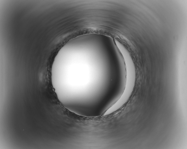 X0000088840776200706211832