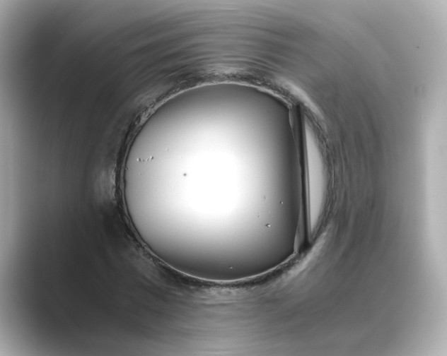 X0000088840777200706211832