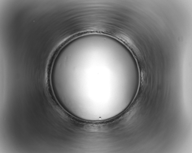 X0000088840780200706211832