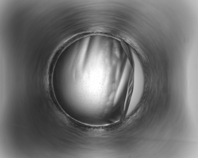 X0000088840784200706211832