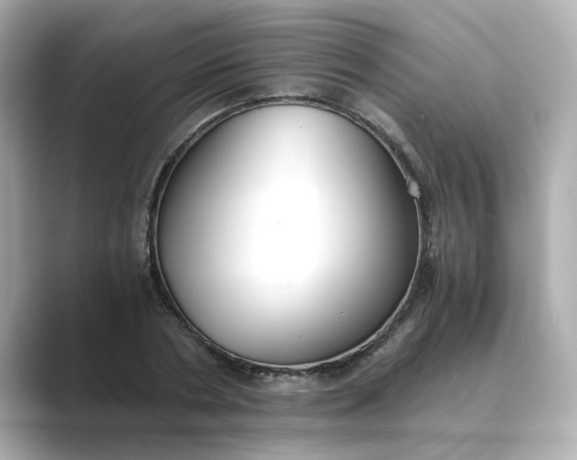 X0000088840786200706211832