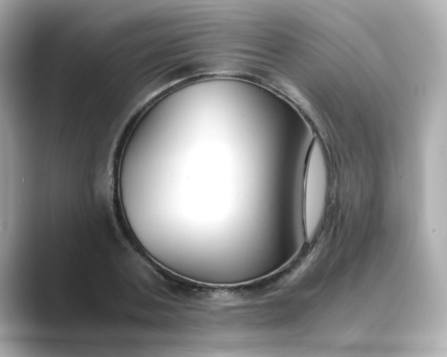 X0000088840787200706211832