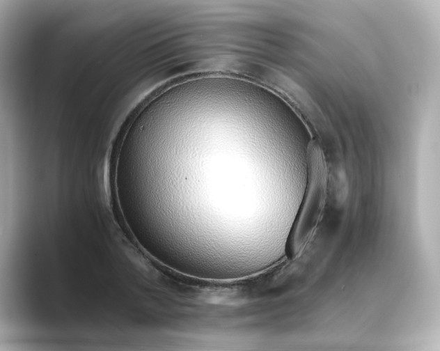 X0000088840788200706211832