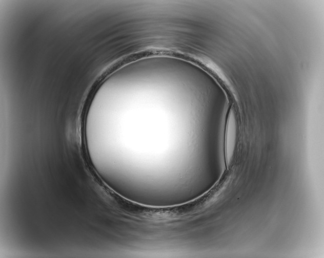 X0000088840791200706211832