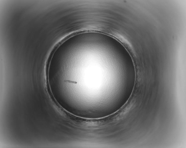 X0000088840792200706211832