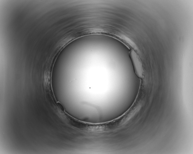 X0000088840793200706211832