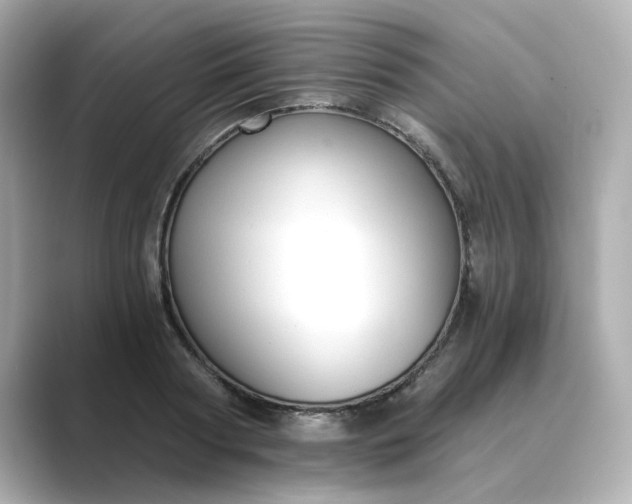 X0000088840794200706211832