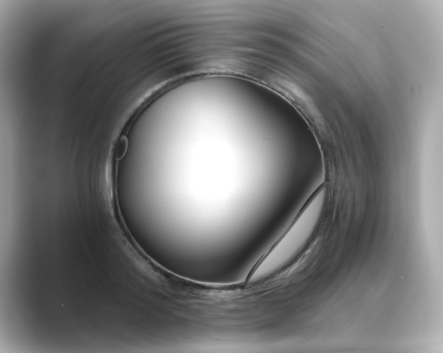 X0000088840796200706211832