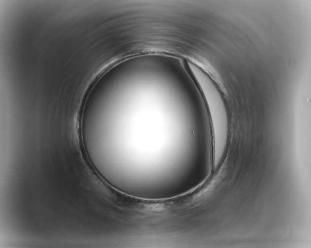 X0000088840798200706211832