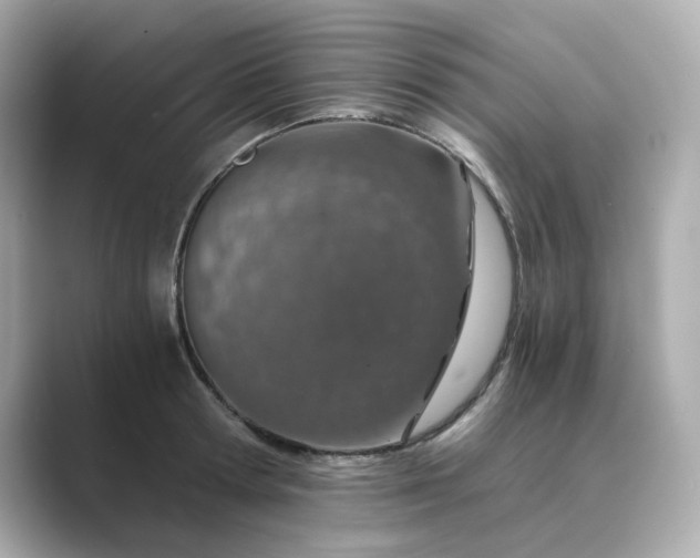 X0000088840802200706211832