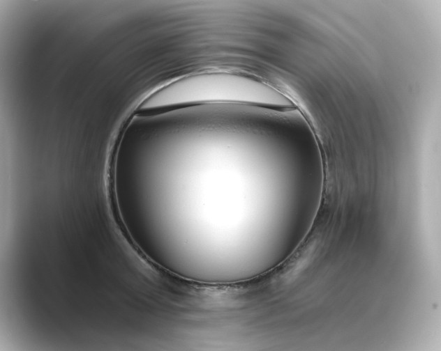 X0000088840803200706211832