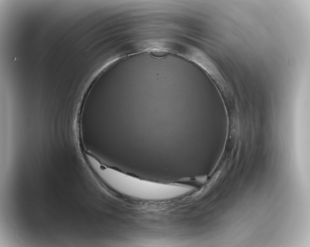 X0000088840806200706211832