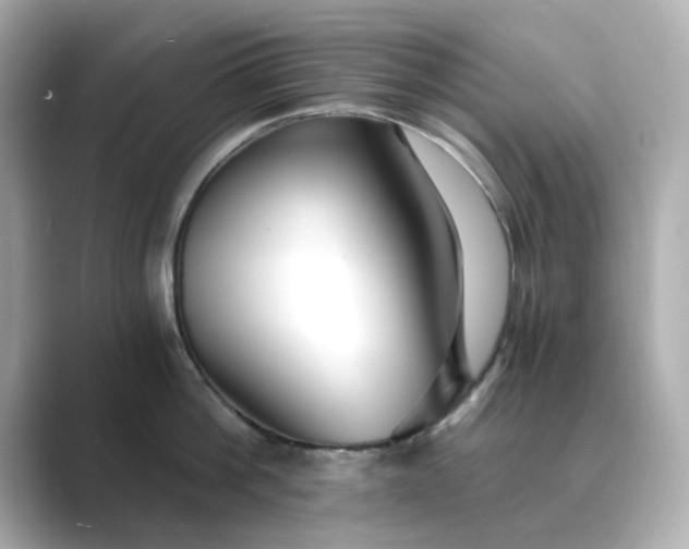 X0000088840812200706211832