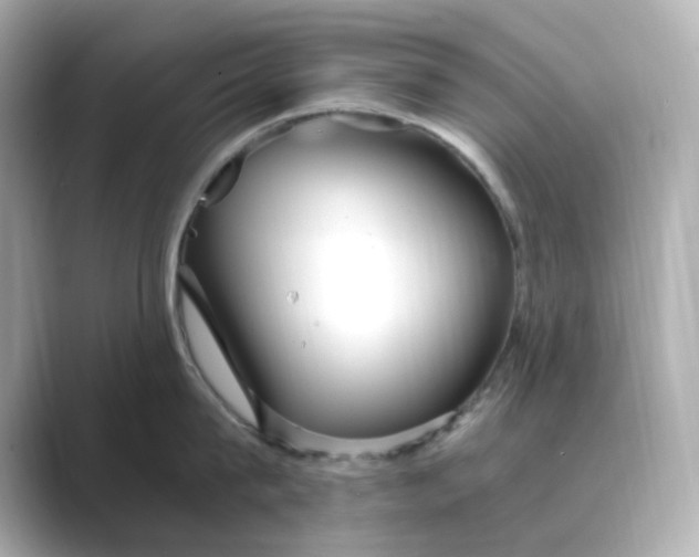 X0000088840815200706211832