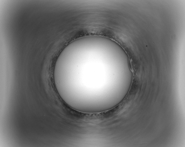 X0000088840817200706211831