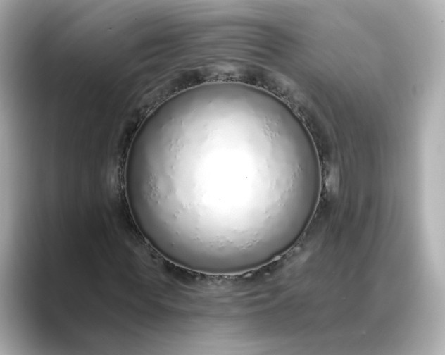 X0000088840819200706211831