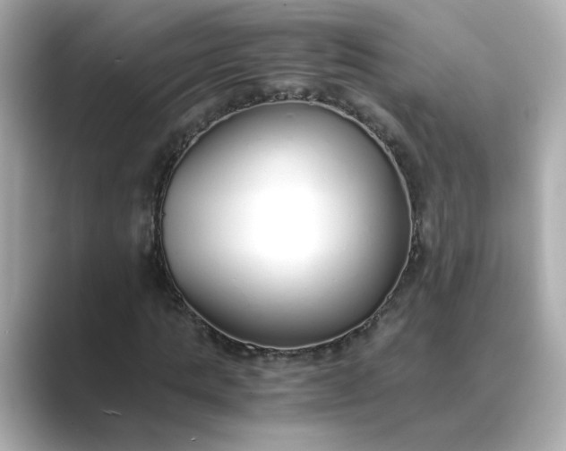 X0000088840821200706211831