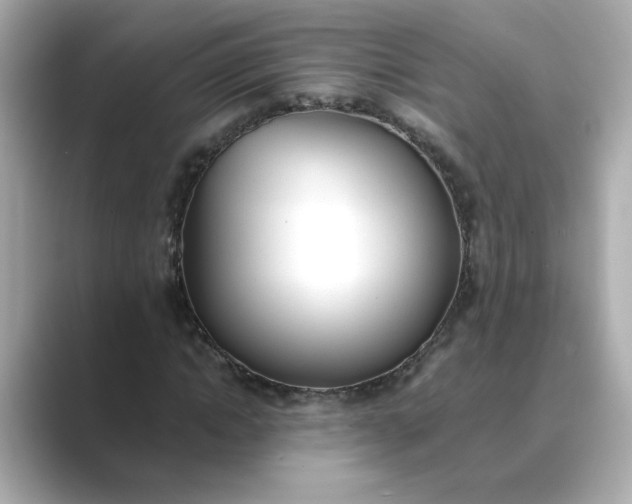 X0000088840822200706211831