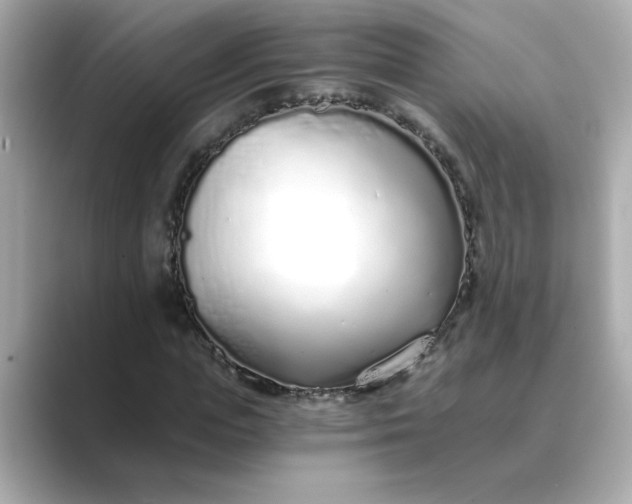 X0000088840823200706211831