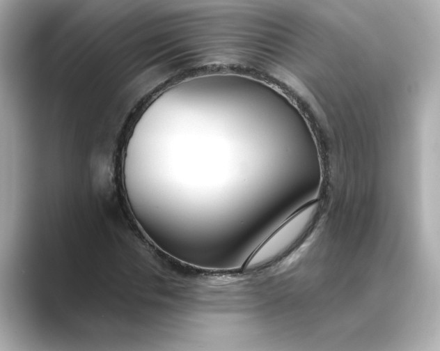 X0000088840826200706211831