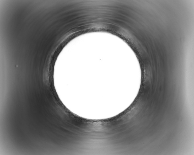 X0000088840828200706211831