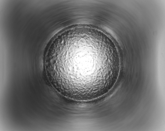 X0000088840829200706211831