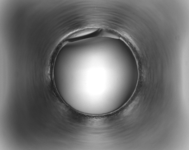 X0000088840830200706211831