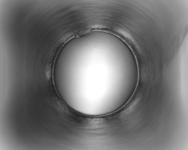 X0000088840833200706211831