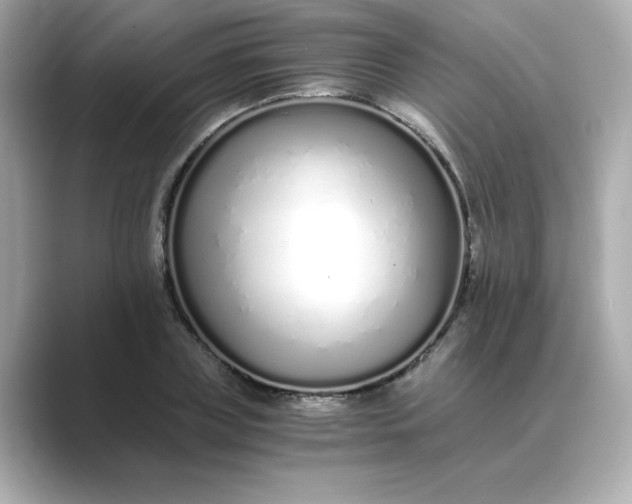 X0000088840835200706211831