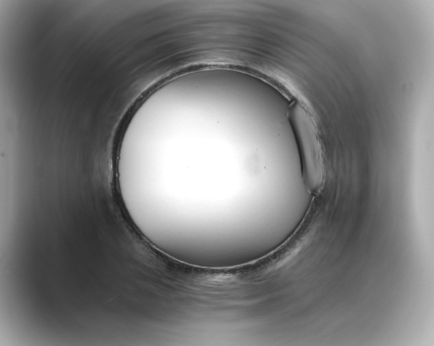 X0000088840837200706211831