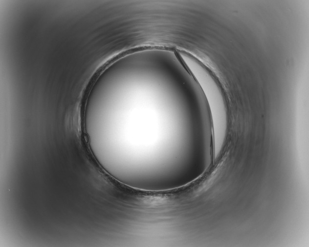 X0000088840838200706211831