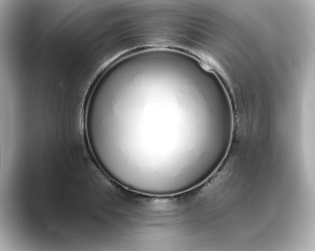 X0000088840839200706211831