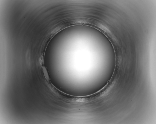 X0000088840841200706211831