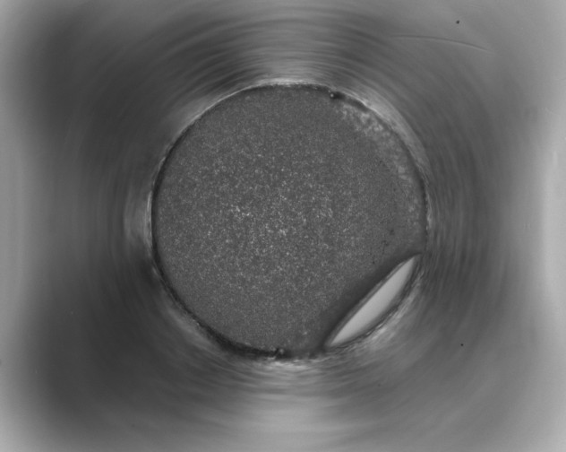 X0000088840842200706211831