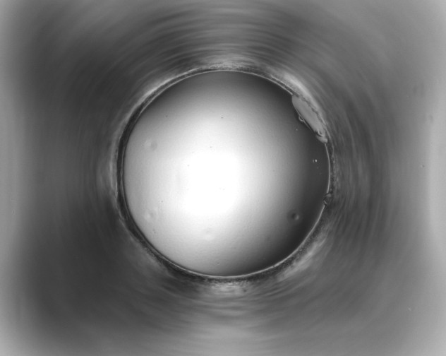 X0000088840843200706211831