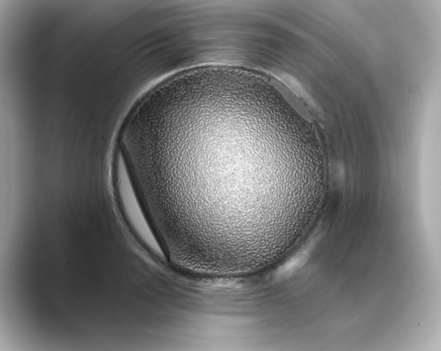 X0000088840846200706211831