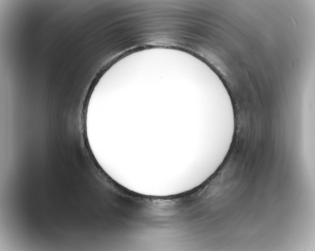 X0000088840848200706211832