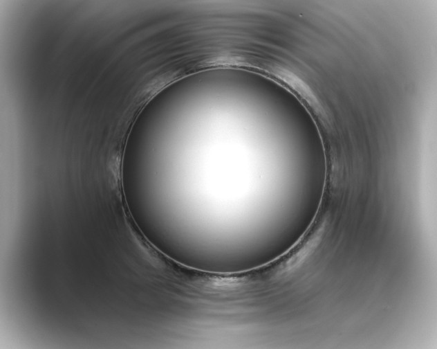 X0000088840849200706211832