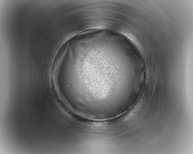 X0000088840850200706211832