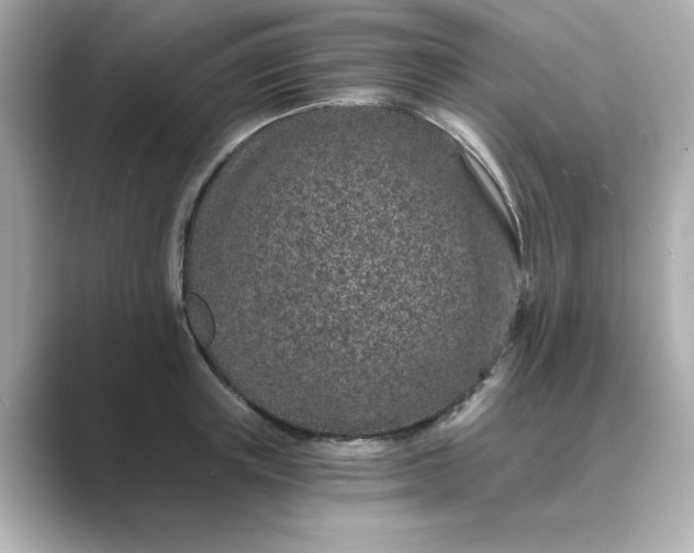 X0000088840851200706211832