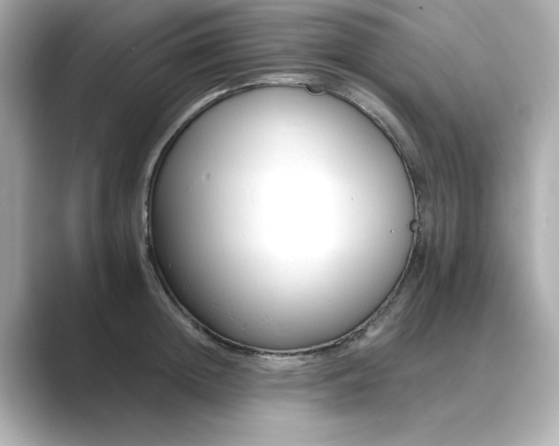 X0000088840852200706211832