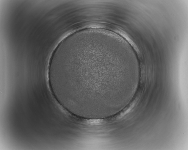 X0000088840853200706211832