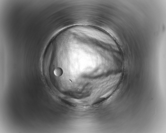 X0000088840854200706211832