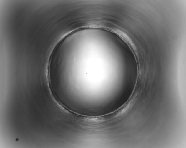 X0000088840855200706211832