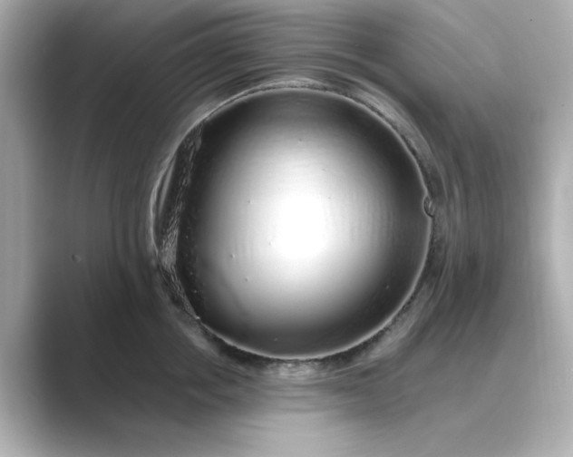 X0000088840858200706211832