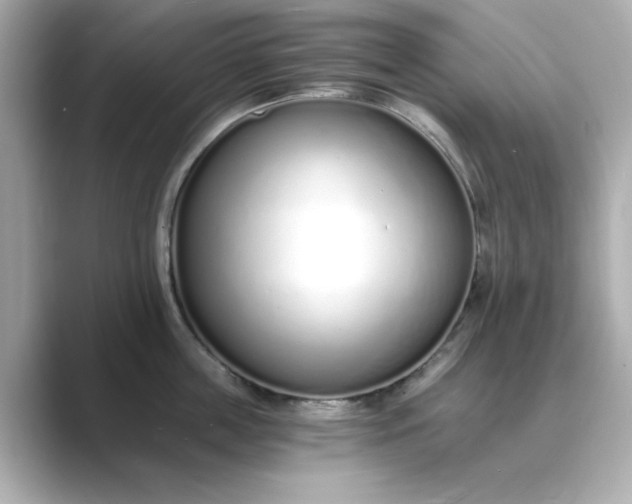 X0000088840859200706211832