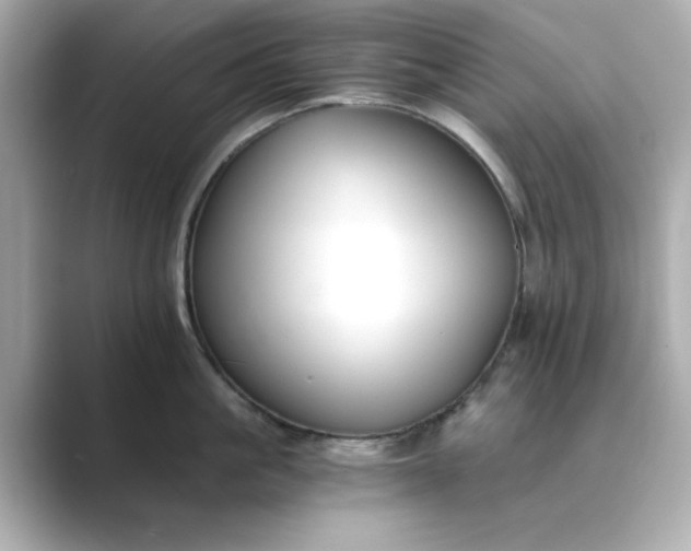 X0000088840861200706211832